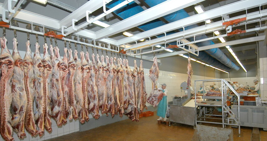 Дезинсекция на мясокомбинате в Видном, цены на услуги